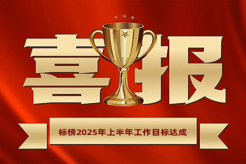 Latest company news about Biaobang Domestic channels | H1 2025 Summary & Q3 Planning Meeting Successfully Concluded