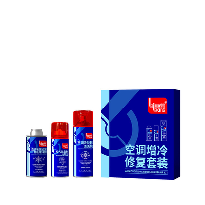 Quality 150ml/200ml Air Conditioner Cleaner Improve Cooling Efficiency factory